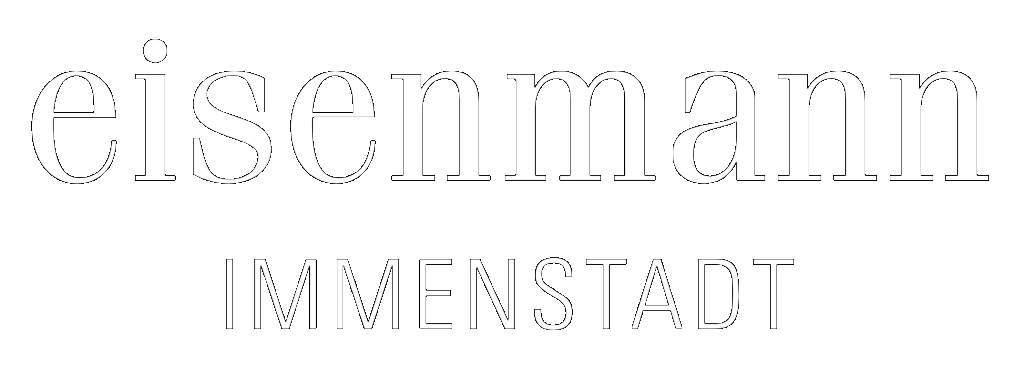 eisenmann_logo_transparent